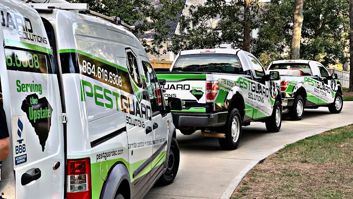 PestGuard Solutions Picture 3