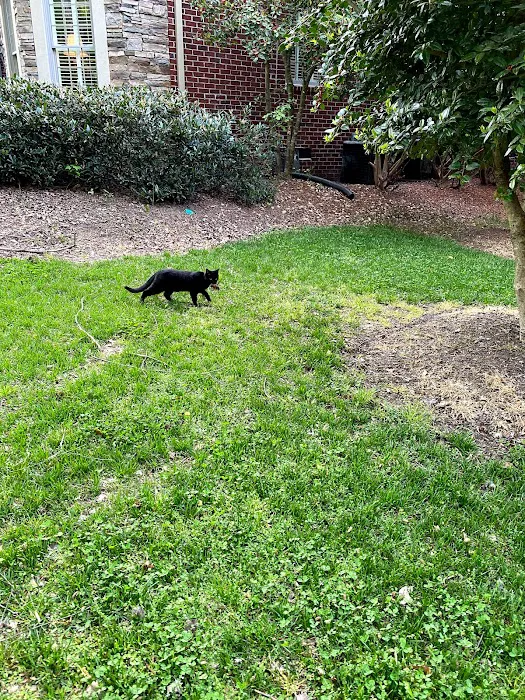 Pura Pest Control Picture 8