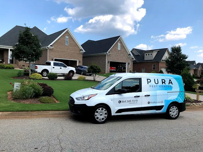 Pura Pest Control Picture 10