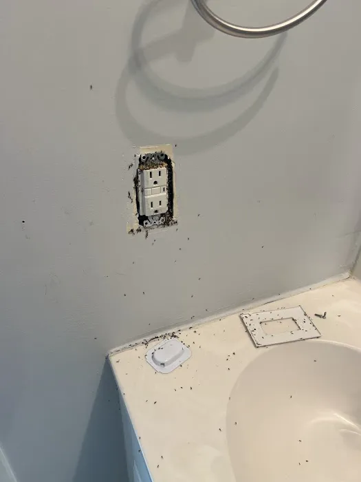 Prime Pest Solutions Picture 4