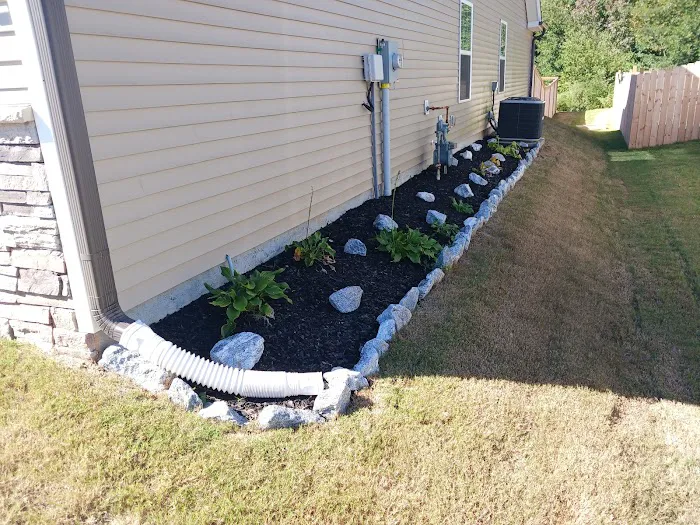 Tlc Upstate Lawn and Pest Picture 8