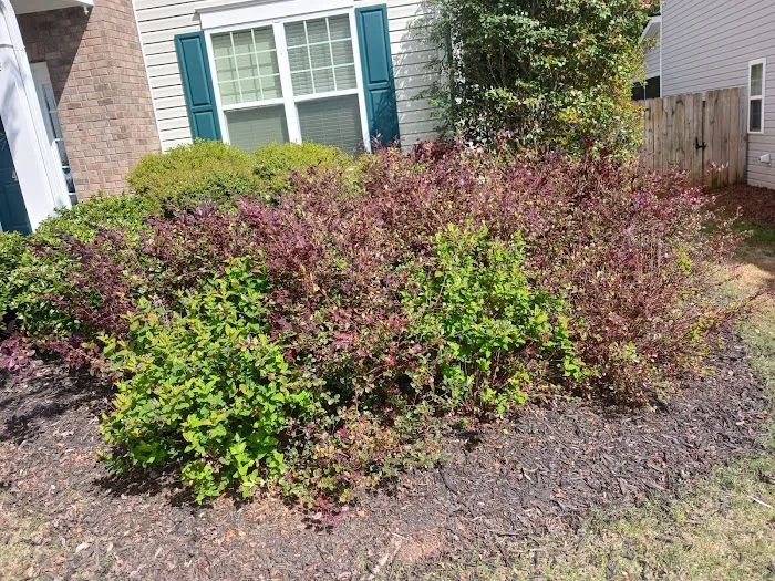 Tlc Upstate Lawn and Pest Picture 10