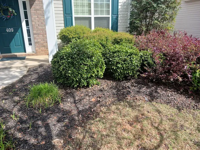 Tlc Upstate Lawn and Pest Picture 3