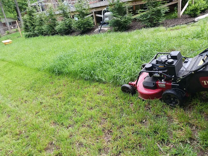 Tlc Upstate Lawn and Pest Picture 4