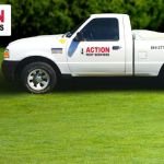 Action Pest Services