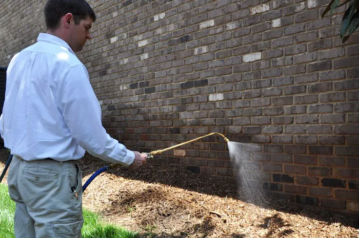 Action Pest Services Picture 3