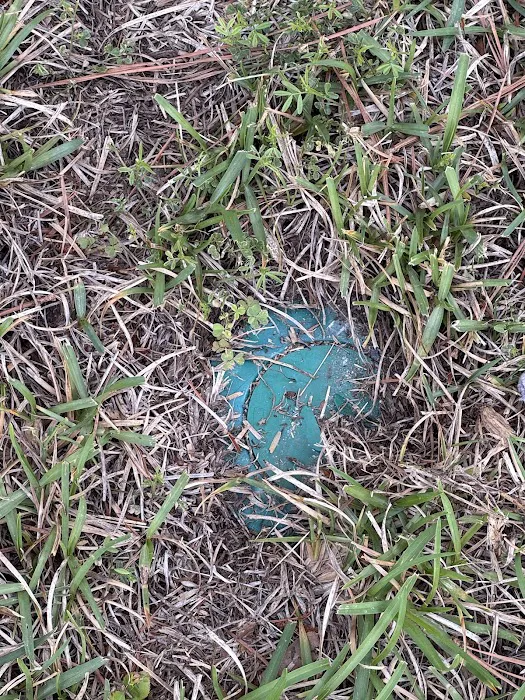 Clark's Termite & Pest Control Picture 7