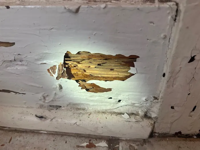 Four Seasons Pest Solutions Picture 6