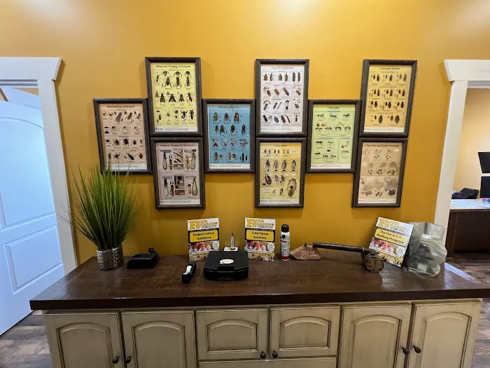 Four Seasons Pest Solutions Picture 9
