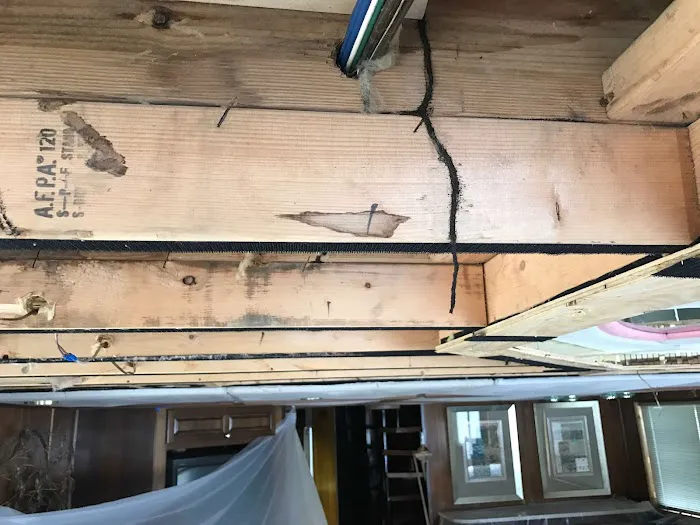 Four Seasons Pest Solutions Picture 7