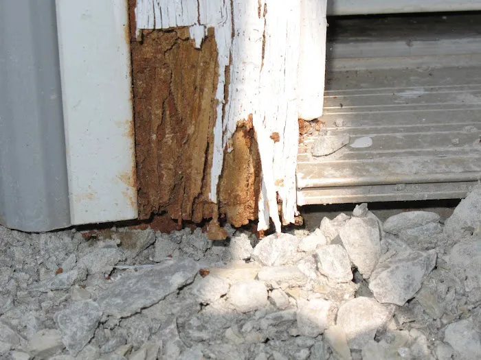 Four Seasons Pest Solutions Picture 10