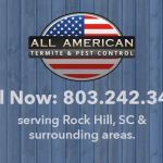 All American Termite & Pest
