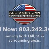 All American Termite & Pest ico
