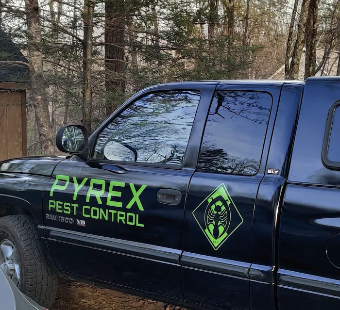 Pyrex Pest Control Picture 4