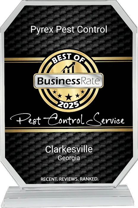 Pyrex Pest Control Picture 5