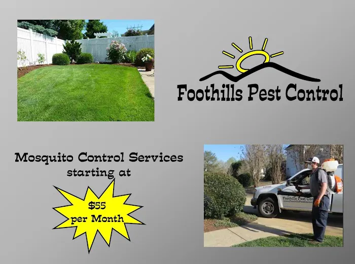 Foothills Pest Control Picture 10