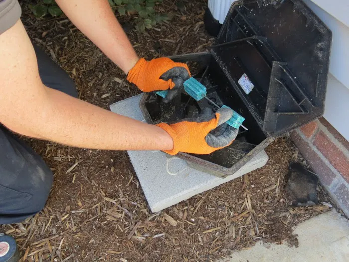 Foothills Pest Control Picture 2