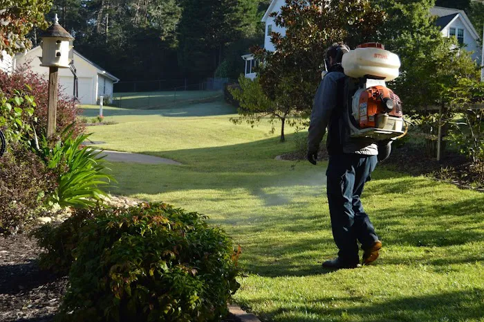 Foothills Pest Control Picture 9