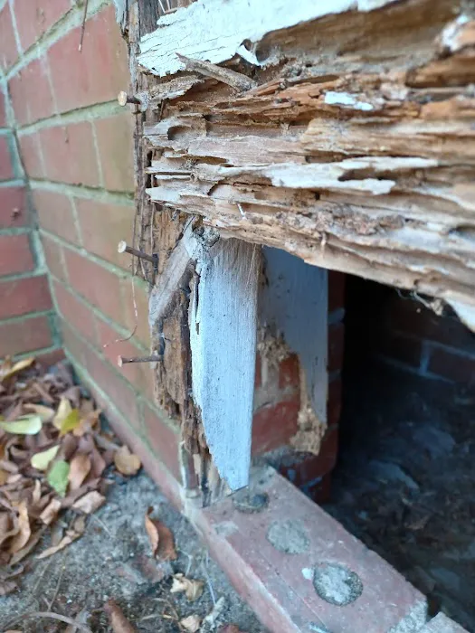 Healthy Home Pest Solutions Picture 4