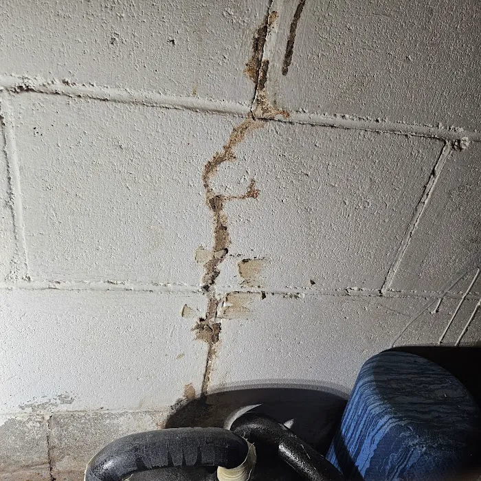 Healthy Home Pest Solutions Picture 9