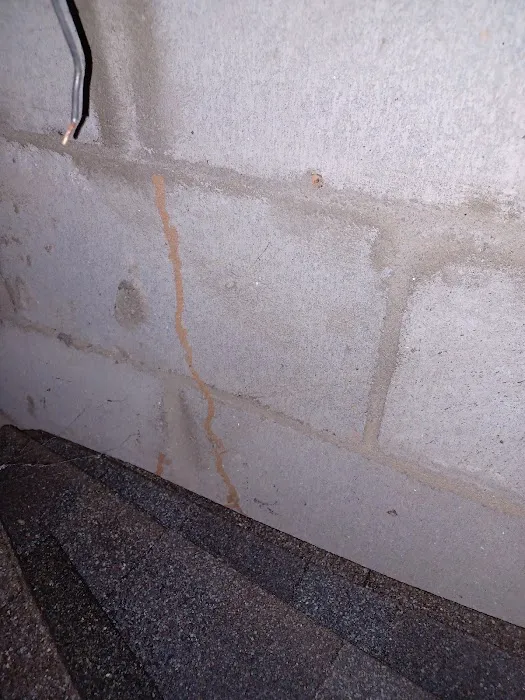 Healthy Home Pest Solutions Picture 8