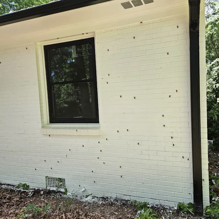 Healthy Home Pest Solutions Picture 7