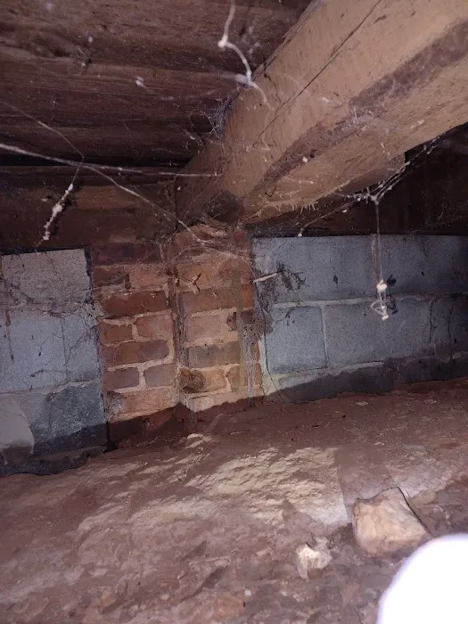Healthy Home Pest Solutions Picture 1