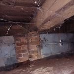 Healthy Home Pest Solutions