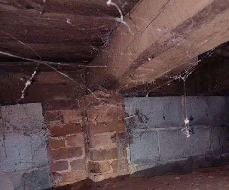 Healthy Home Pest Solutions