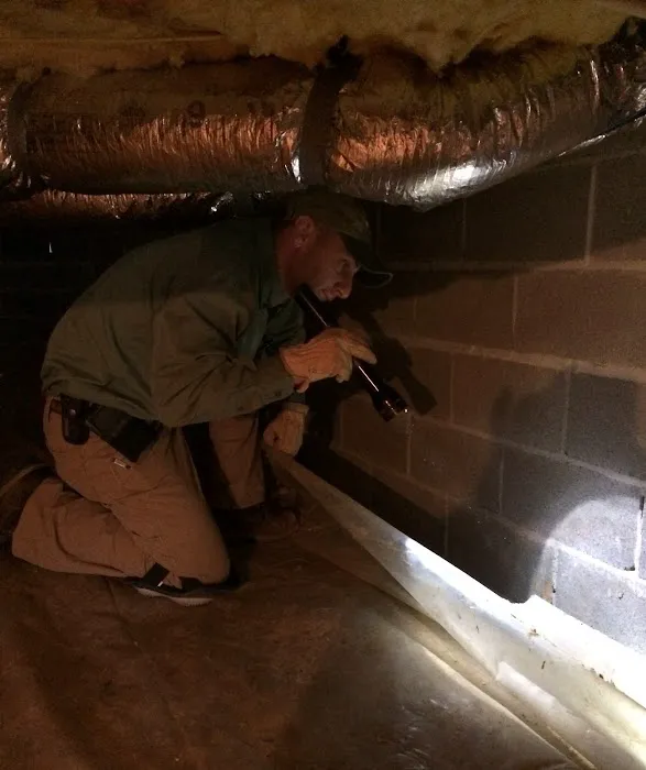 Alpine Exterminating Picture 2