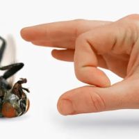 Means Exterminating Company ico