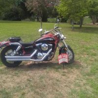 Kilz Pest Control ico