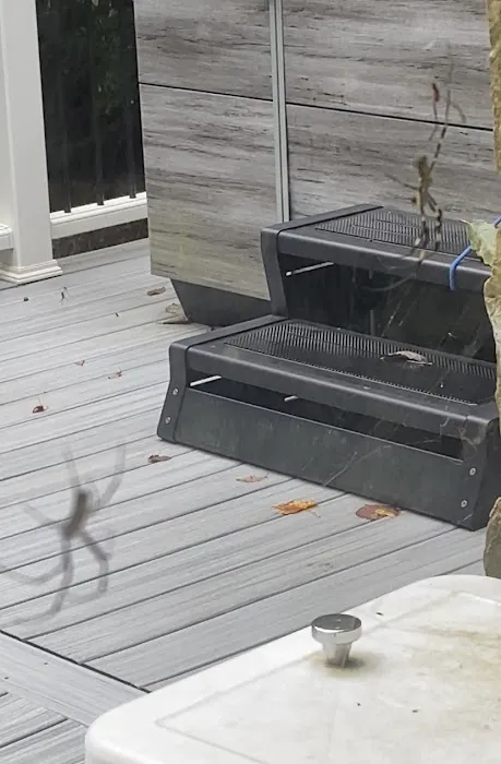 Arrow Exterminators Picture 1