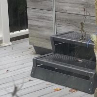 Arrow Exterminators ico