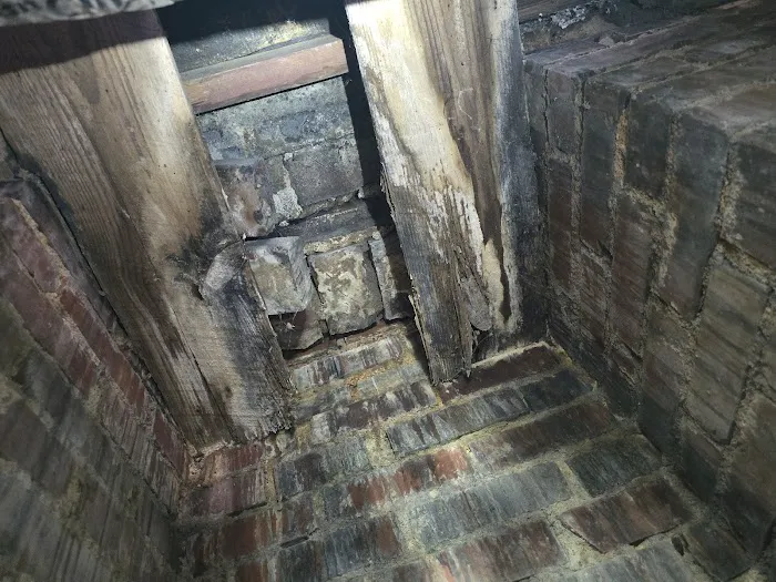 Blue Line Pest Solutions, LLC. Picture 9