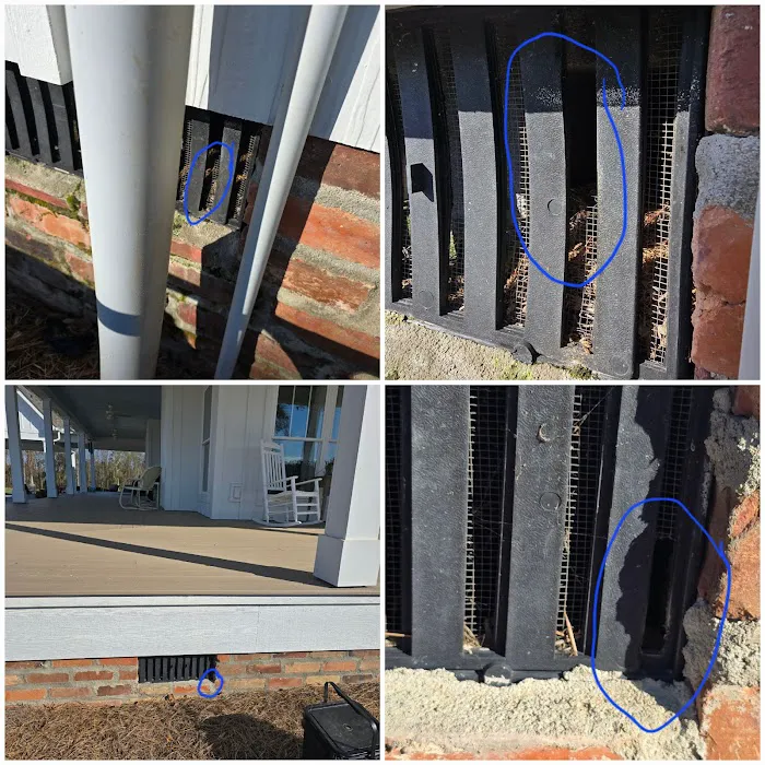Blue Line Pest Solutions, LLC. Picture 7