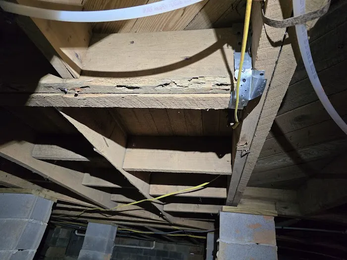 Blue Line Pest Solutions, LLC. Picture 4