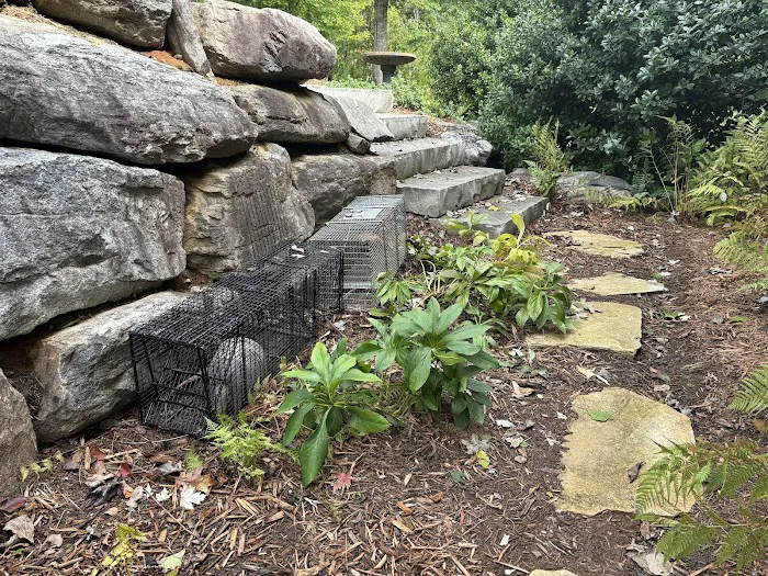 Upstate Wildlife Solutions LLC Picture 7