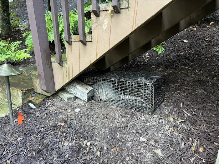 Upstate Wildlife Solutions LLC Picture 2