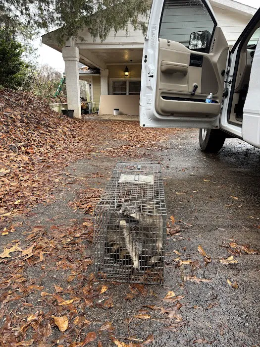 Upstate Wildlife Solutions LLC Picture 5