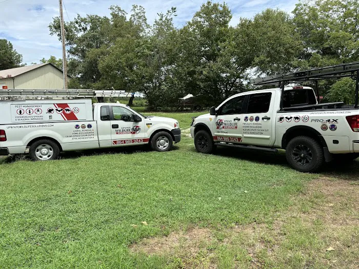 Upstate Wildlife Solutions LLC Picture 6