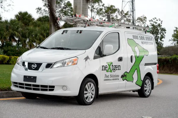 Nextgen Pest Solutions Picture 10