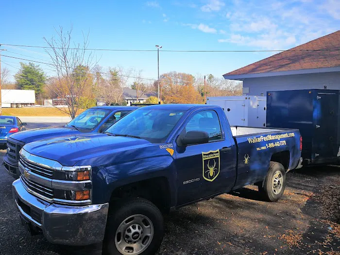 Walker Pest Management Picture 2