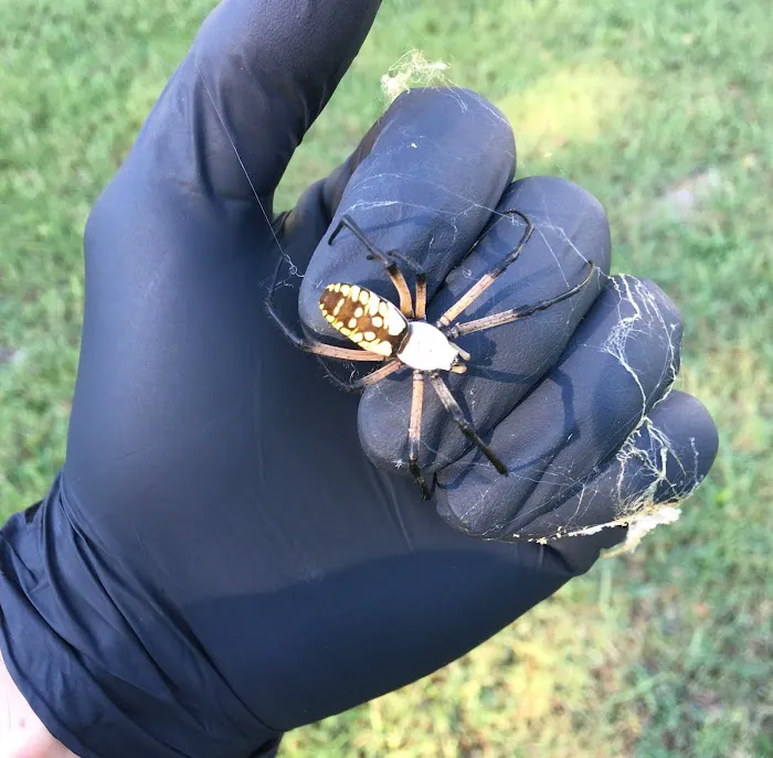Walker Pest Management Picture 9