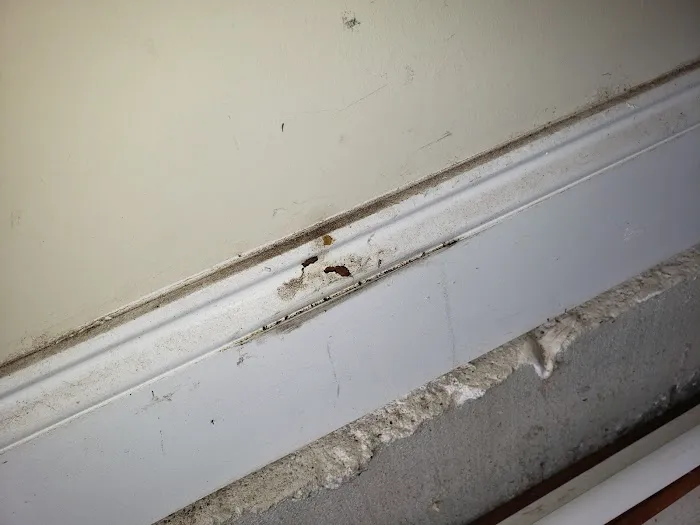 Breda Pest Management Picture 6