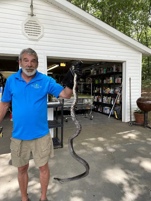 Bunch Pest Control Picture 2