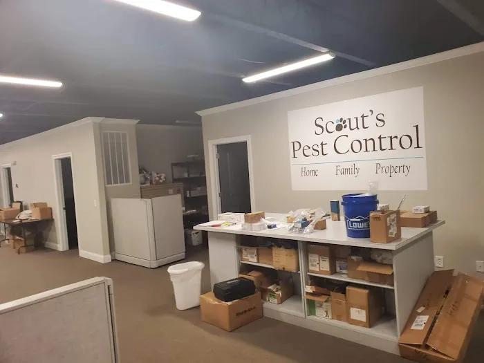Scout's Pest Control Picture 1