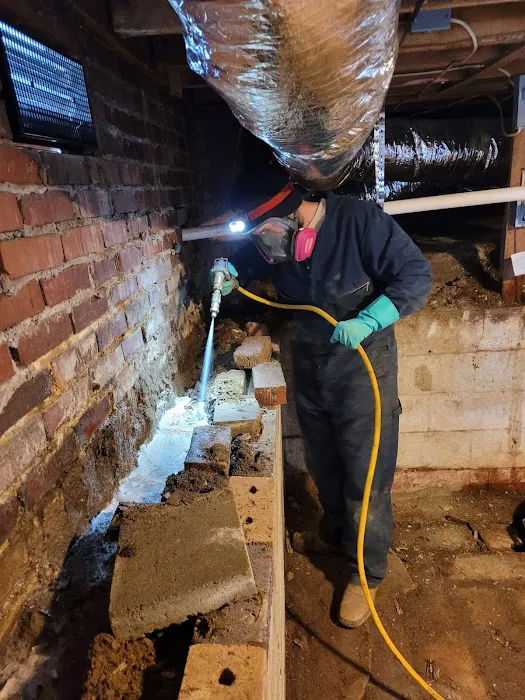Scout's Pest Control Picture 6