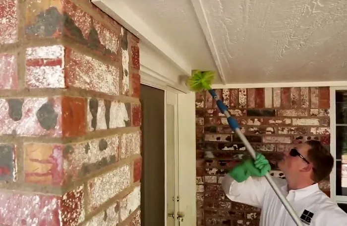 Bulwark Exterminating Picture 8