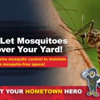Team Veterans Pest Control ico
